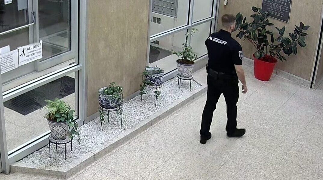 American Alliance Security
