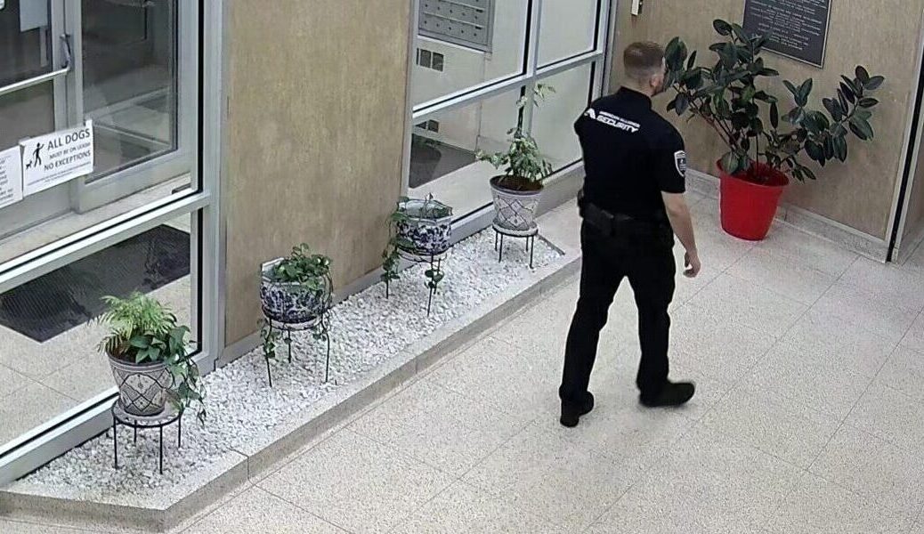 American Alliance Security