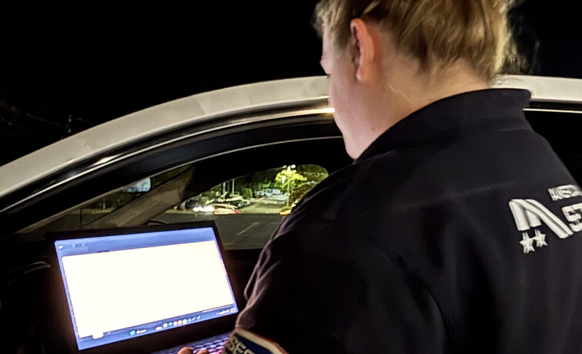 American Alliance Security