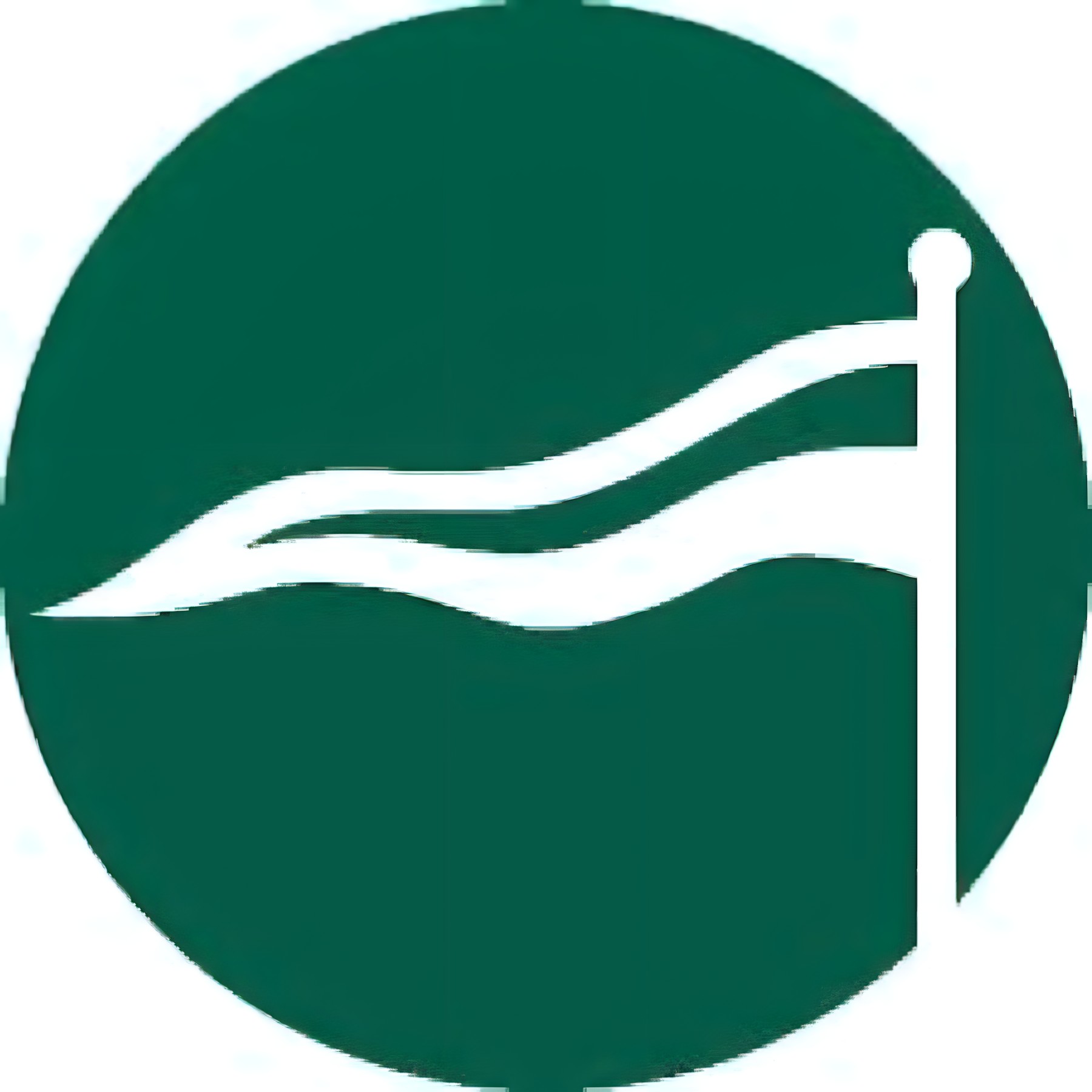 American Alliance Security